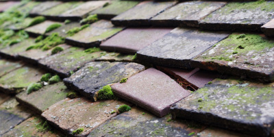Regil roof repair costs